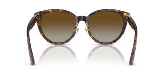 Jimmy Choo JC5032D  5002T5 55