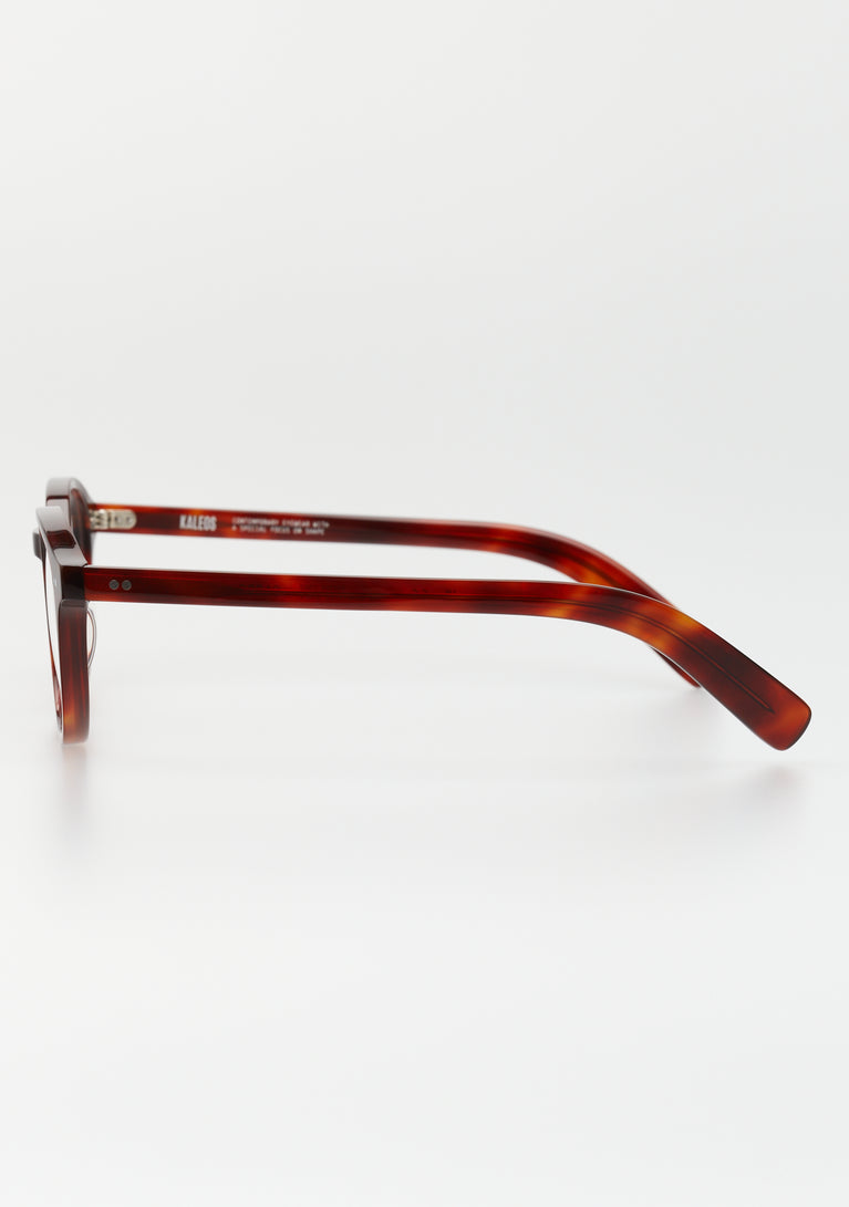 Kaleos Carboni Big 81228406 52