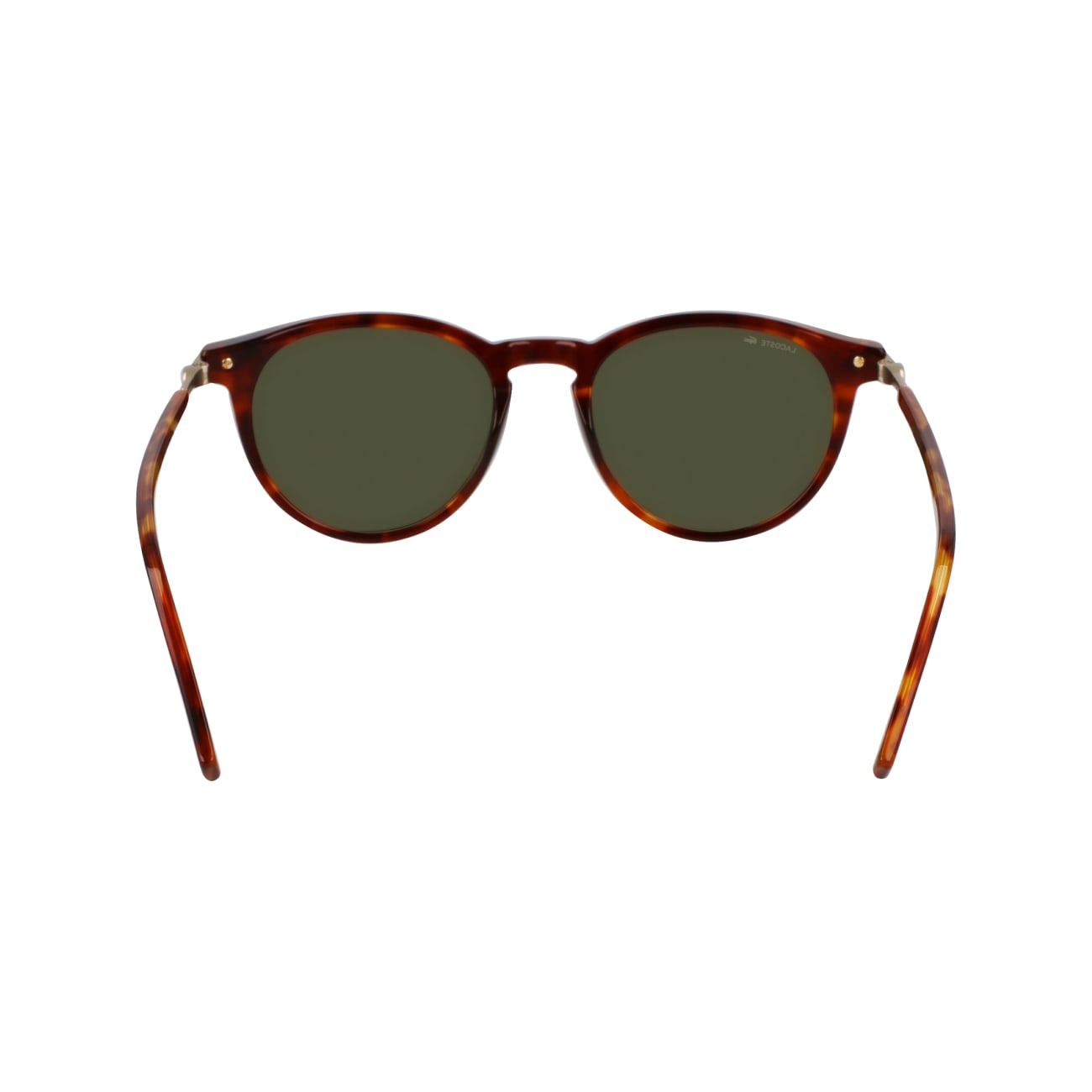 Lacoste L6034S 218 51