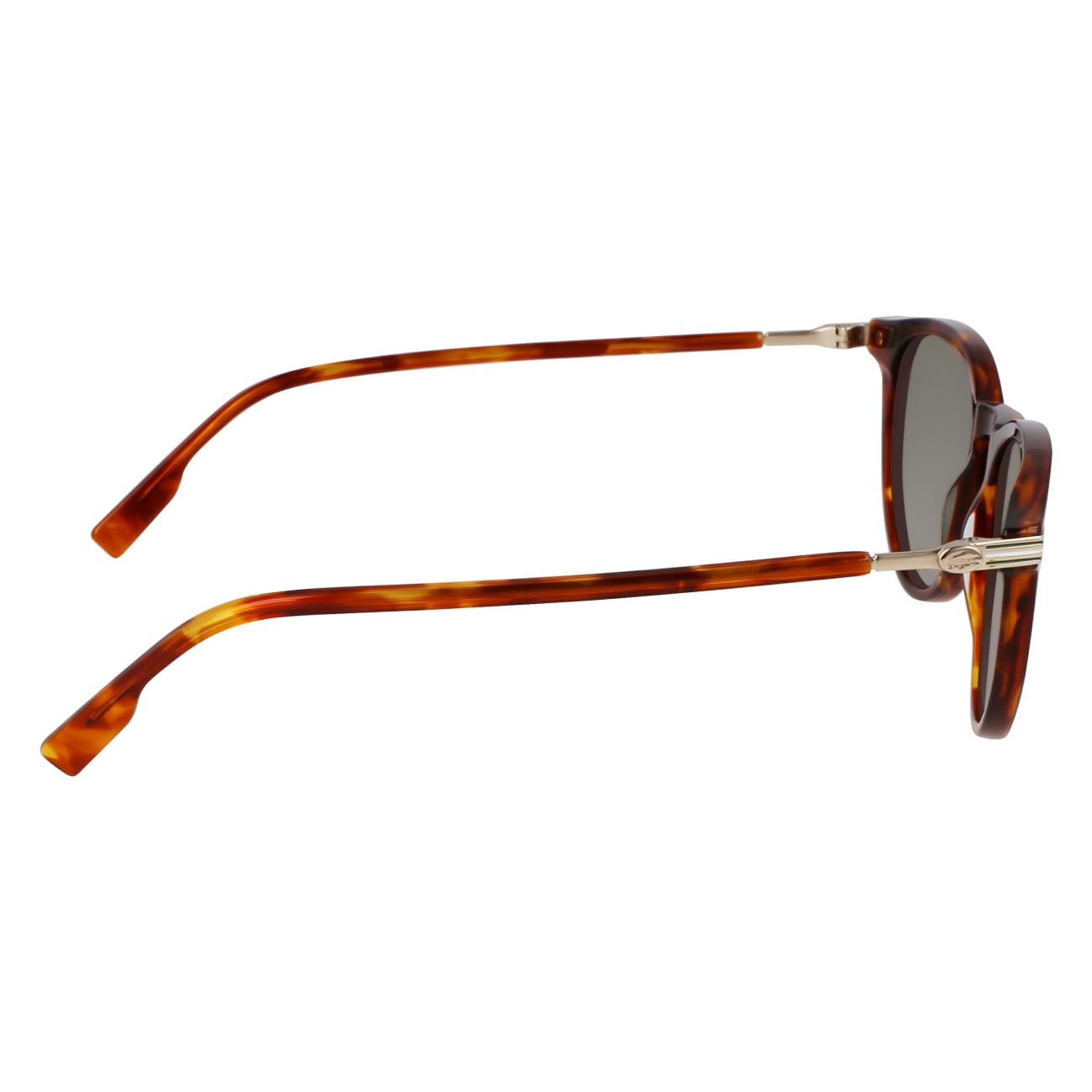 Lacoste L6034S 218 51