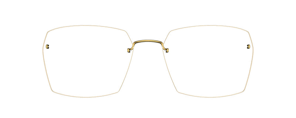 Lindberg 2521 PU17 ED GT GT GC08 51