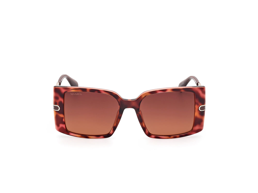 Max&Co MO0120 55F 53