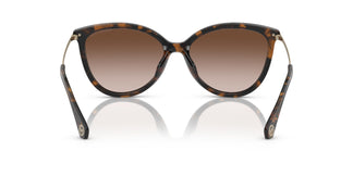 Michael Kors MK2184U DUPONT 300613 56