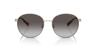 Michael Kors MK1119 ALPINE 10148G 57