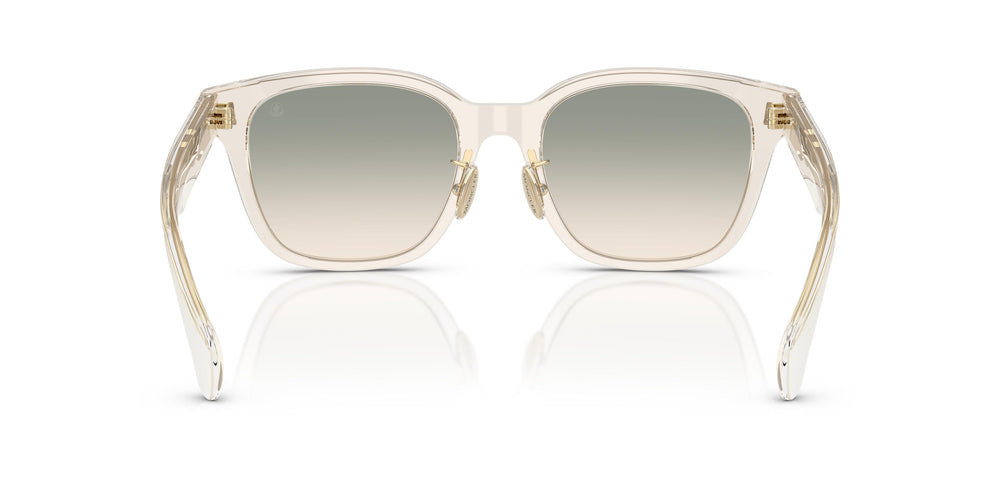 Moncler ME6002D METROPE 30032C 54