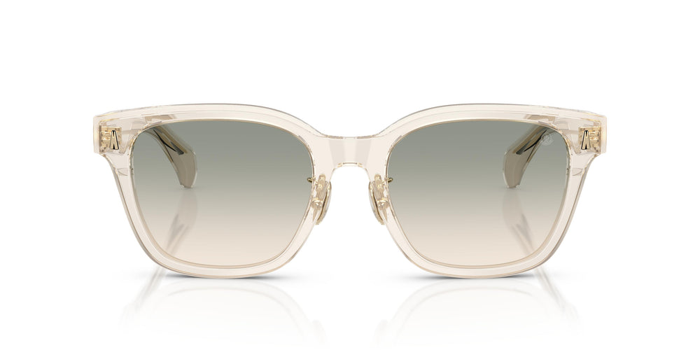 Moncler ME6002D METROPE 30032C 54