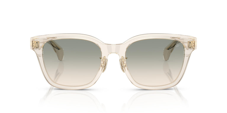 Moncler ME6002D METROPE 30032C 54