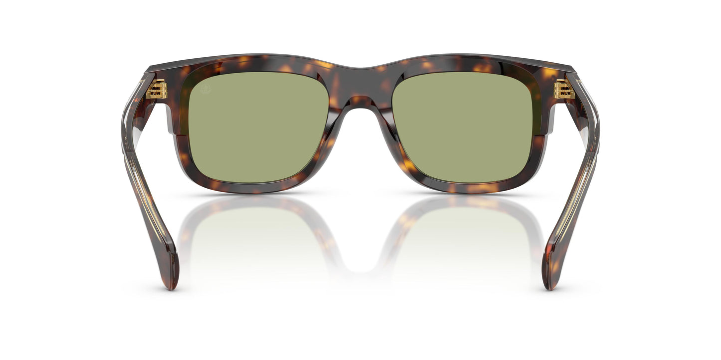 Moncler ME6004 CLEAR 300282 51