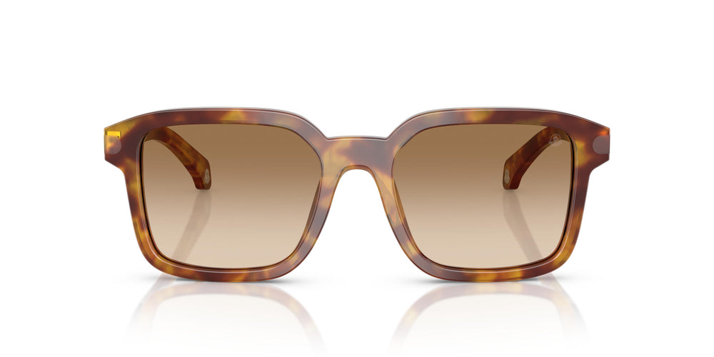 Moncler ME6006 QUADERNA 301189 53