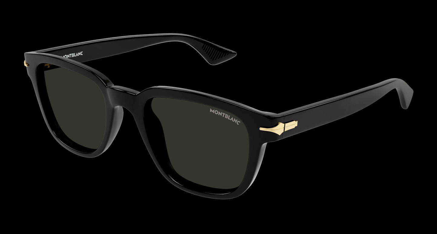 Montblanc MB0302S 010 53