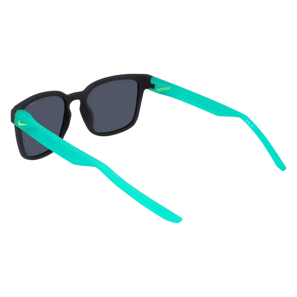 Nike LIVEFREE ICONIC EV24012 011 54