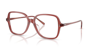 Oliver Peoples OV5567U CORDINA 1790 55