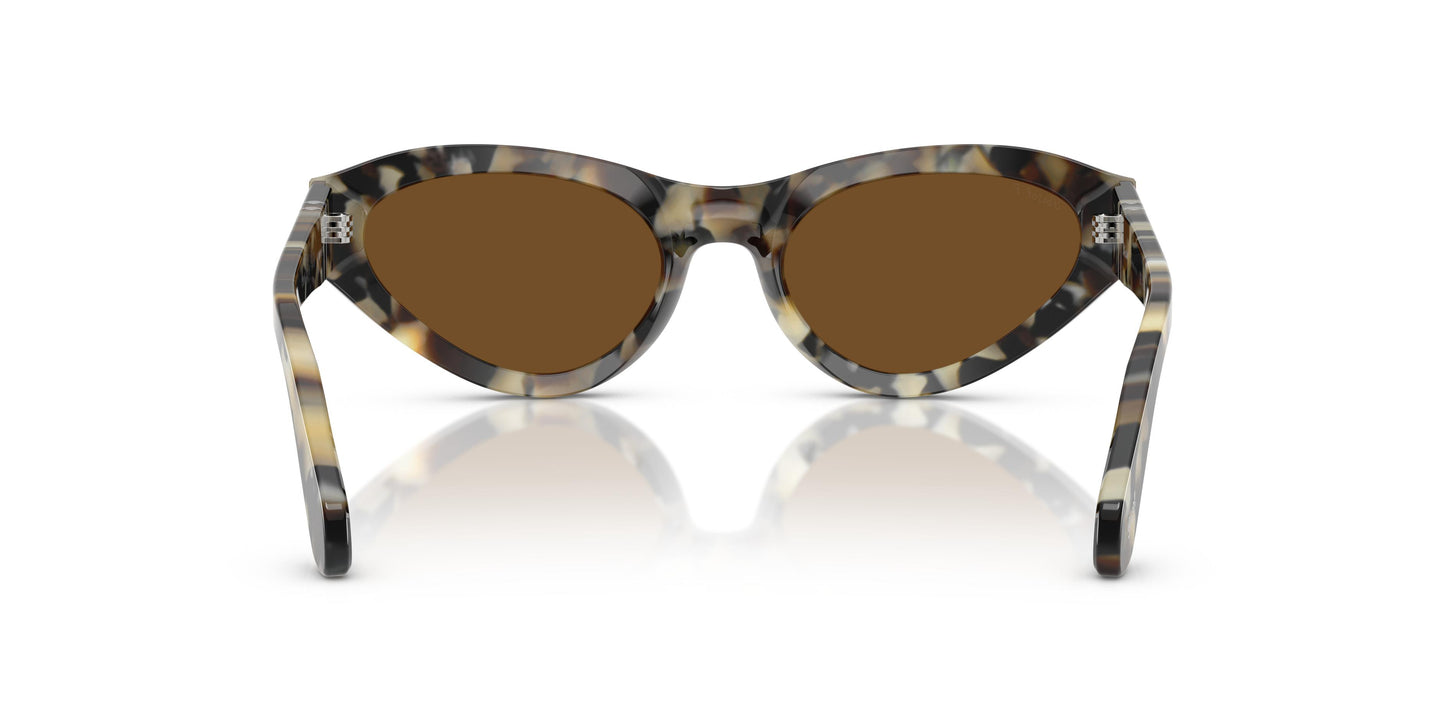 Persol PO0052S 107157 53