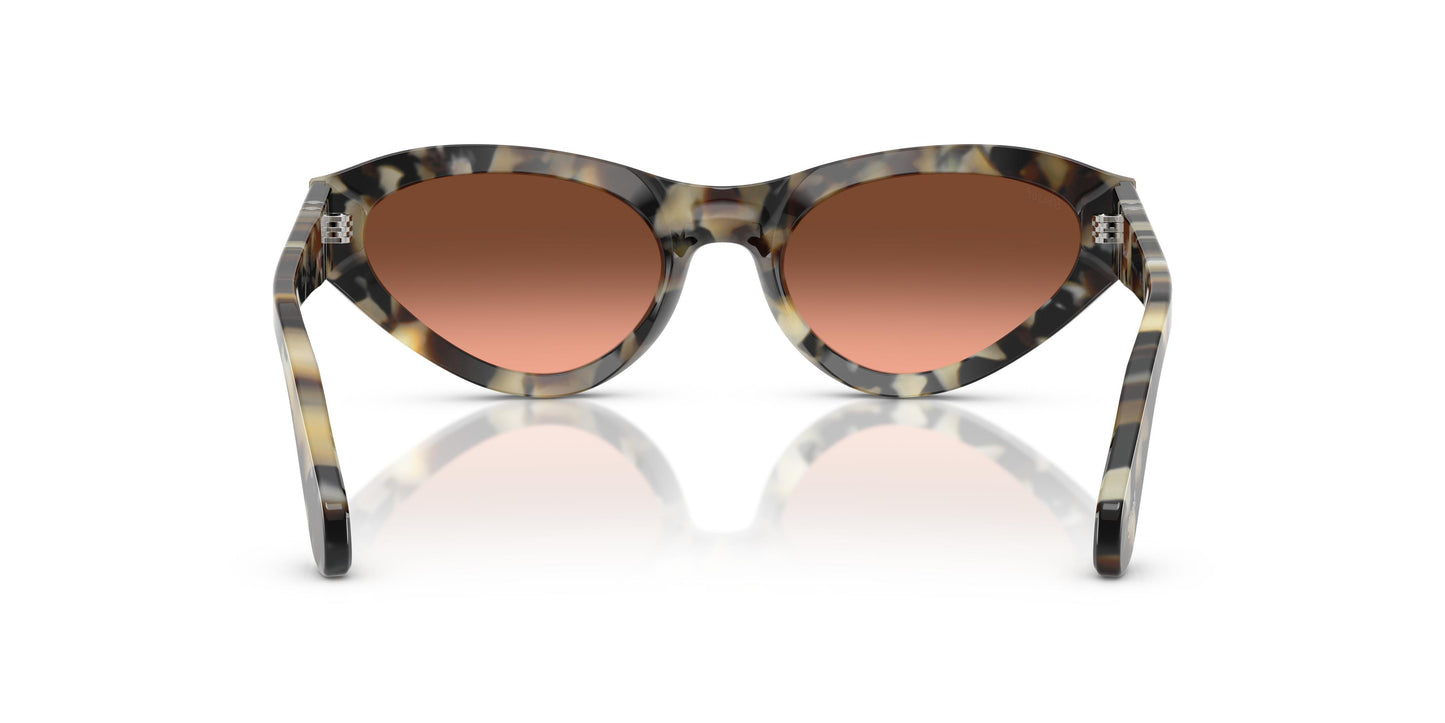 Persol PO0052S 1071A5 53