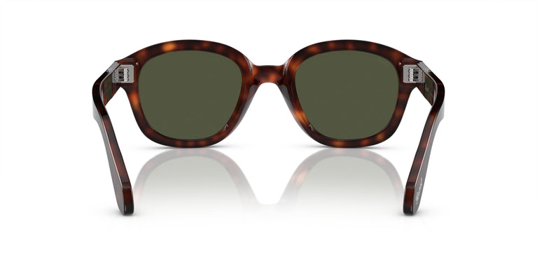 Persol PO0060S 24/31 50