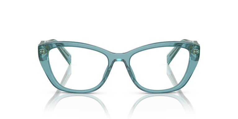 Prada PR 19WV 16J1O1 53