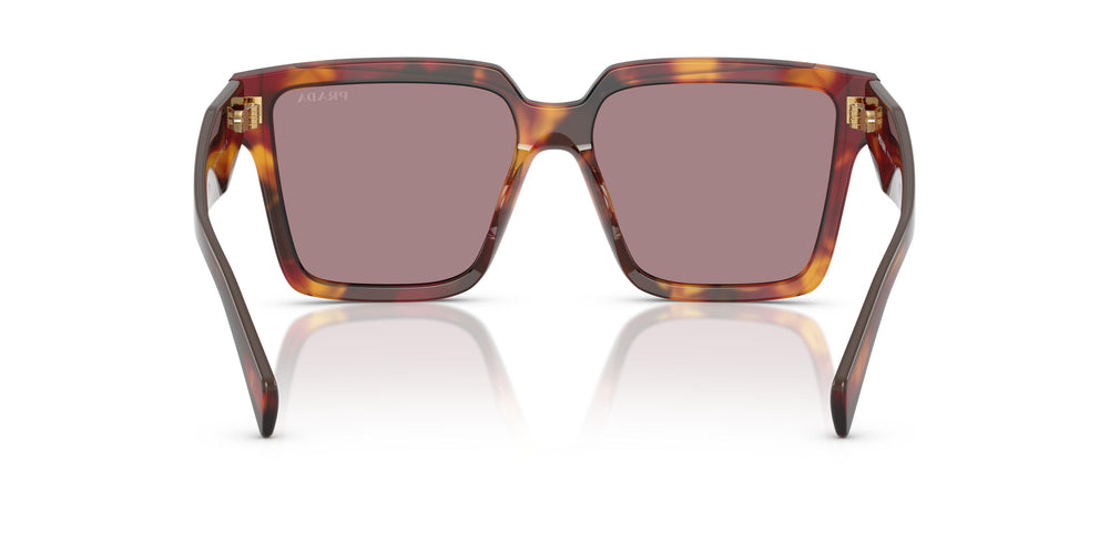 Prada PR 24ZS  22A20I 56