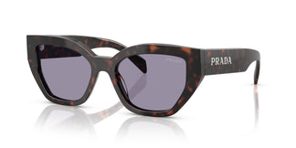 Prada PR A09S  17N03N 53