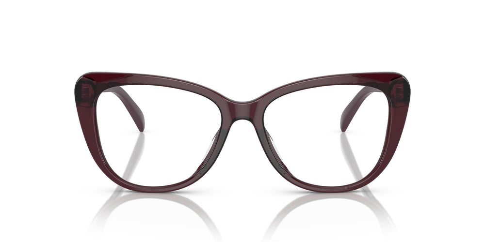 Ralph Lauren RL6232U 6052 54