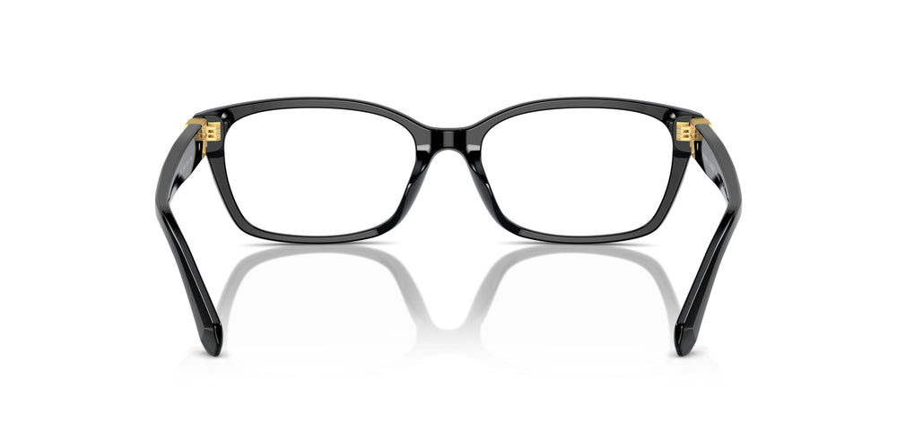 Ralph Lauren RL6244U 5001 53