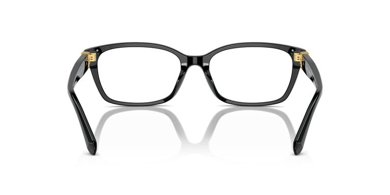 Ralph Lauren RL6244U 5001 53
