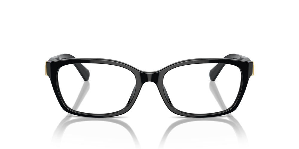 Ralph Lauren RL6244U 5001 53