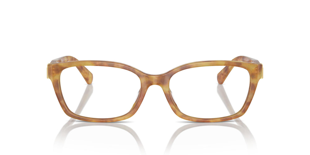 Ralph Lauren RL6244U 5304 53