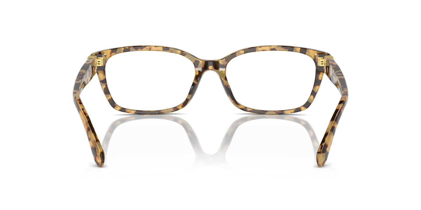 Ralph Lauren RL6244U 6178 53