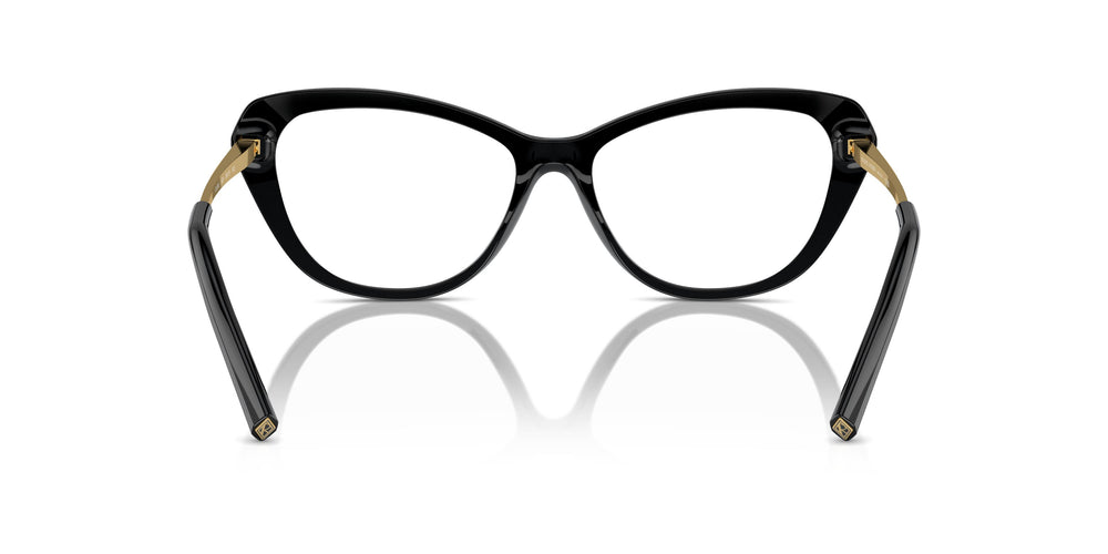 Ralph Lauren RL6245 5001 54