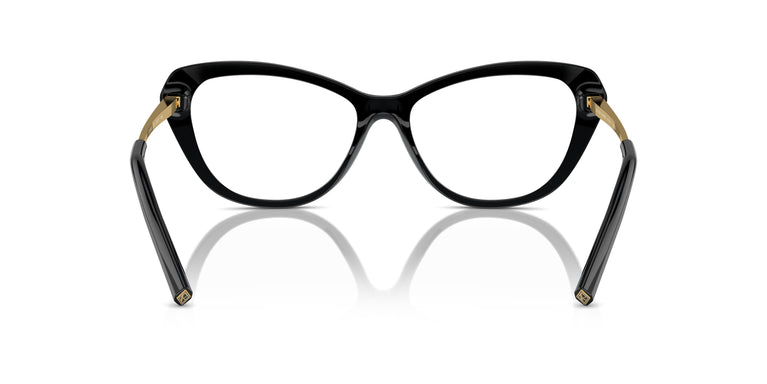 Ralph Lauren RL6245 5001 54