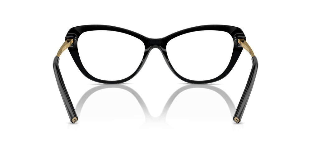 Ralph Lauren RL6245 5001 56