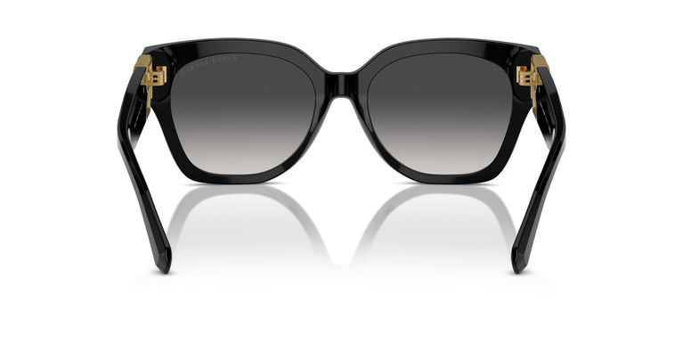 Ralph Lauren RL8221 THE OVERSZED RICKY 50018G 55
