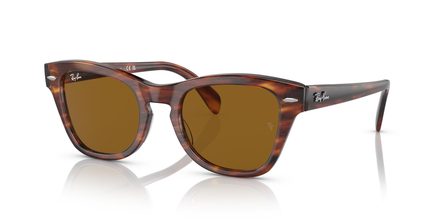 Ray-Ban RB0707S  954/33 50