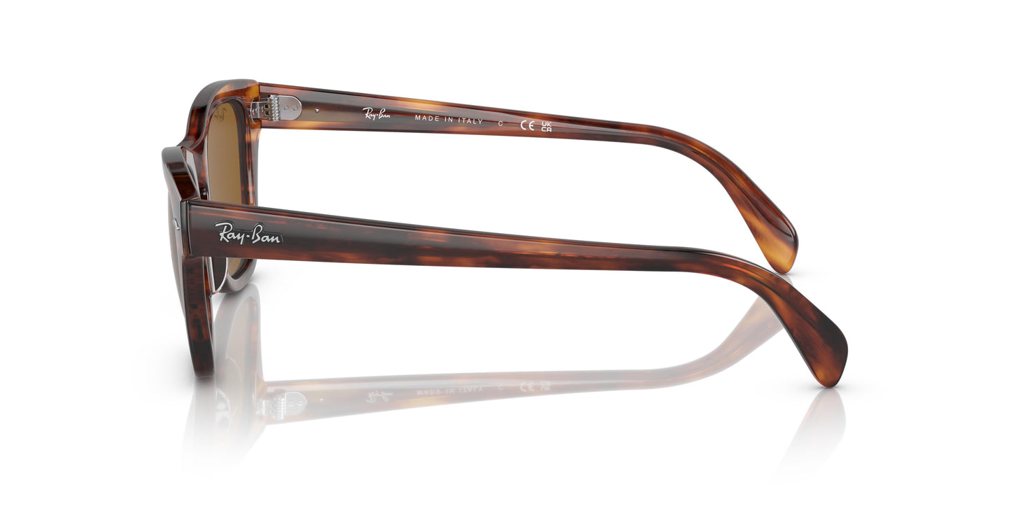 Ray-Ban RB0707S  954/33 50