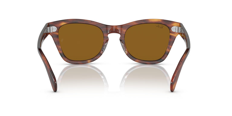 Ray-Ban RB0707S  954/33 50