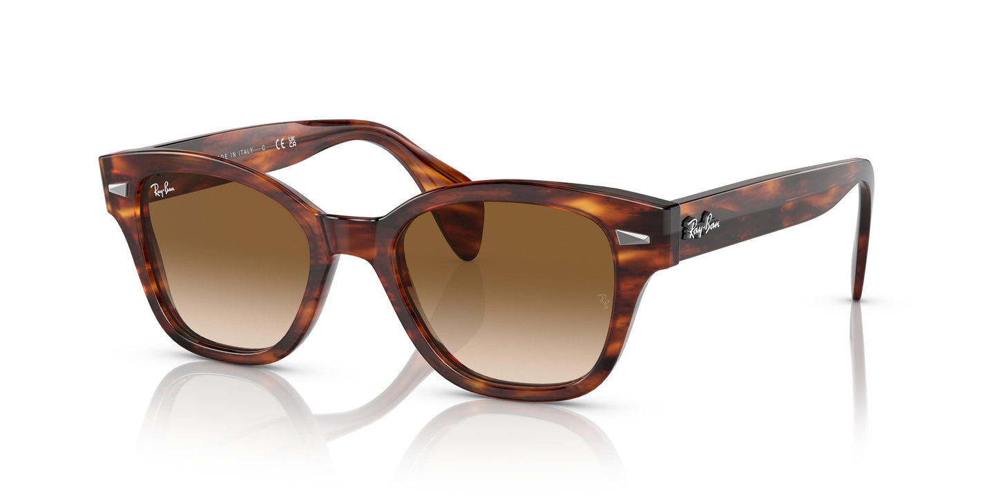 Ray-Ban RB0880S  954/51 49