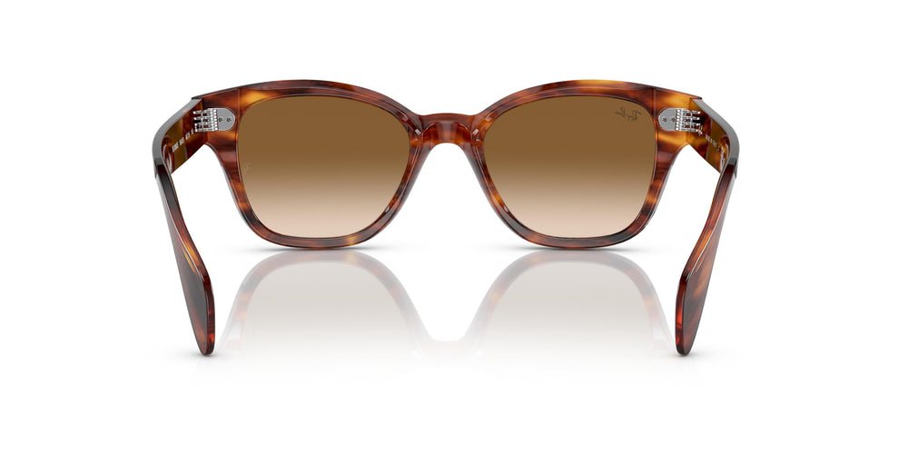 Ray-Ban RB0880S 954/51 49