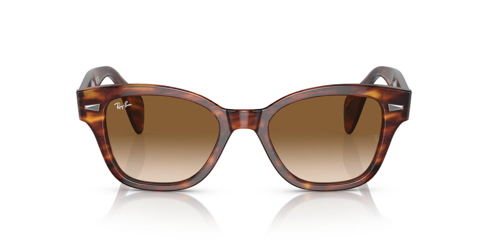 Ray-Ban RB0880S 954/51 49