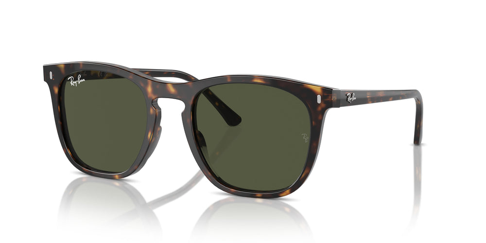 Ray-Ban RB2210 902/31 53