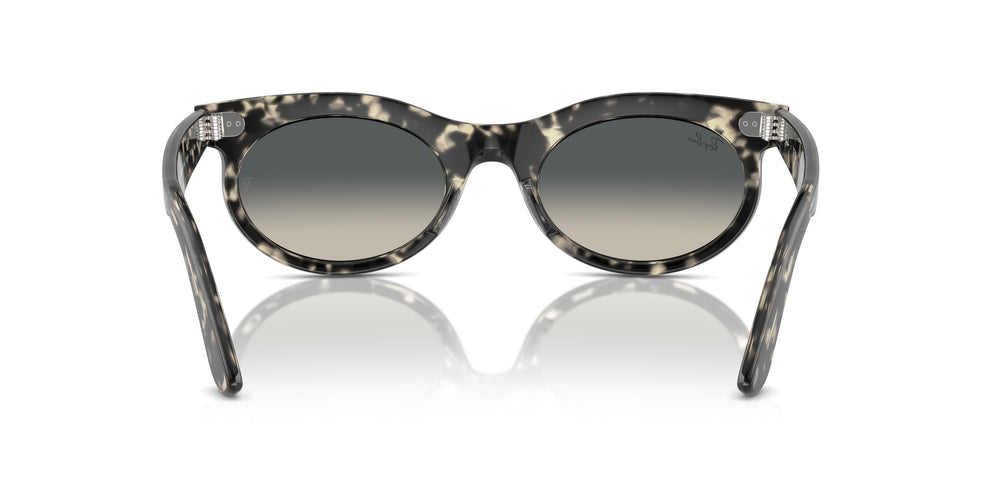 Ray-Ban RB2242 WAYFARER OVAL 133371 50