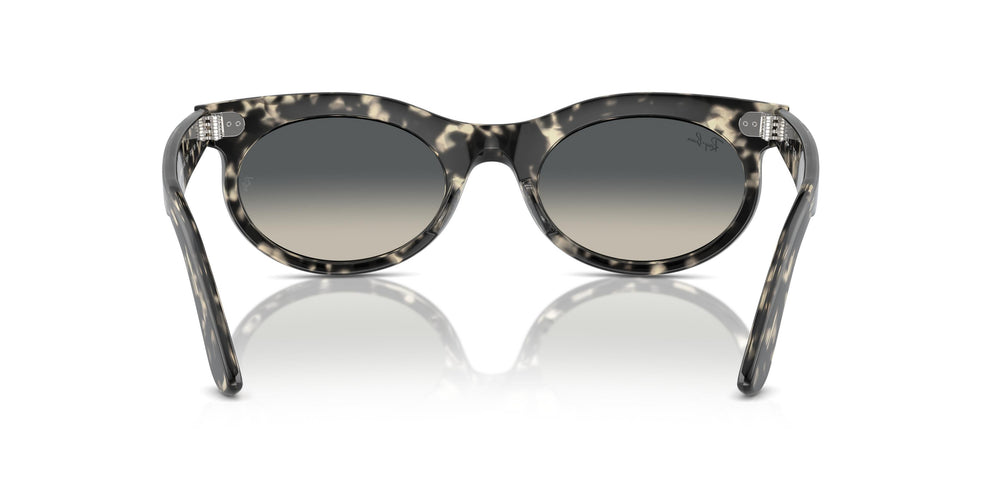 Ray-Ban RB2242 WAYFARER OVAL 133371 53