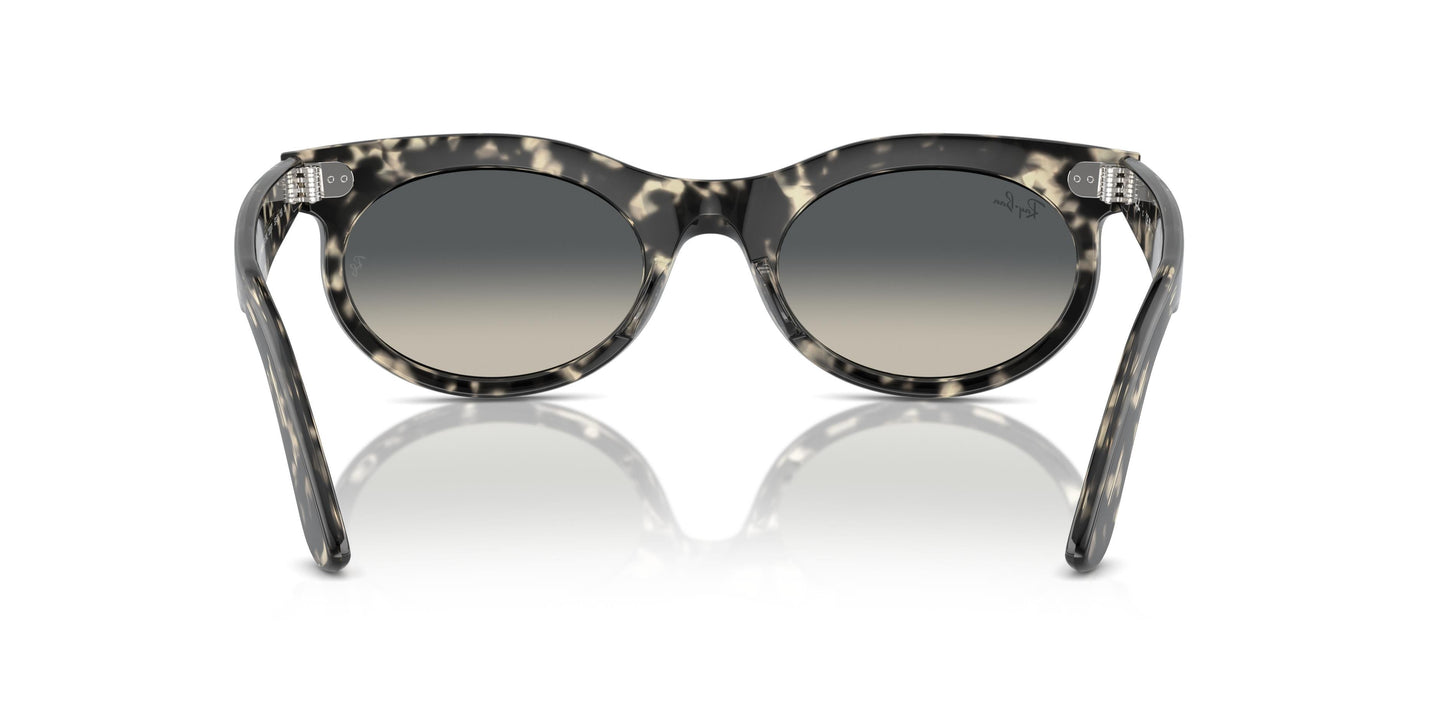 Ray-Ban RB2242 WAYFARER OVAL 133371 53