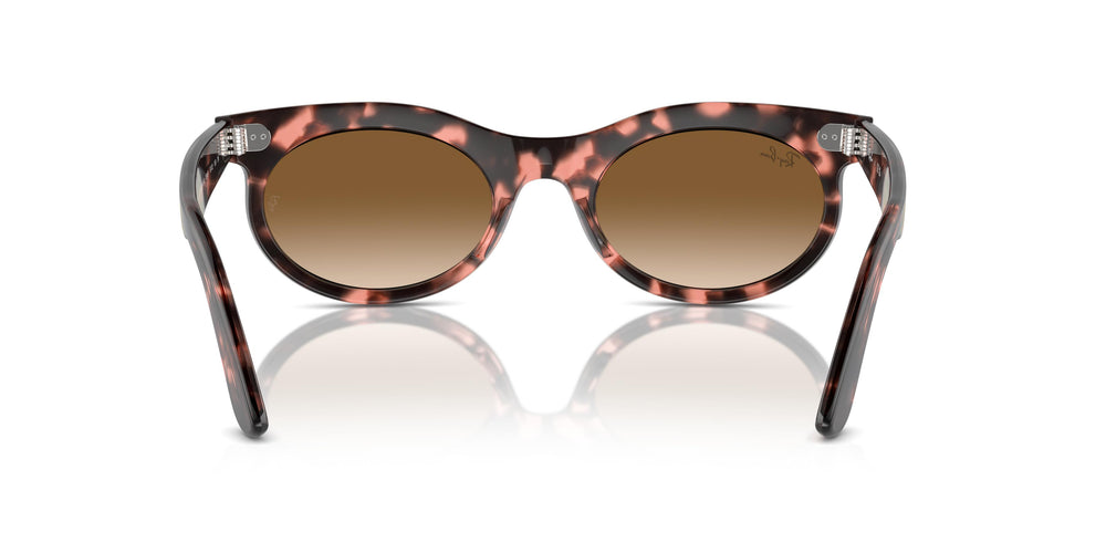 Ray-Ban RB2242 WAYFARER OVAL 133451 53