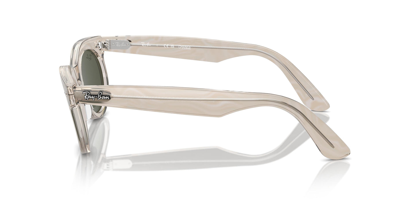 Ray-Ban RB2242 WAYFARER OVAL 138331 53