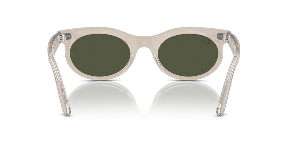 Ray-Ban RB2242 WAYFARER OVAL 138331 53