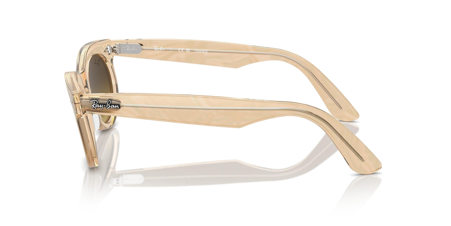 Ray-Ban RB2242 WAYFARER OVAL 138685 53