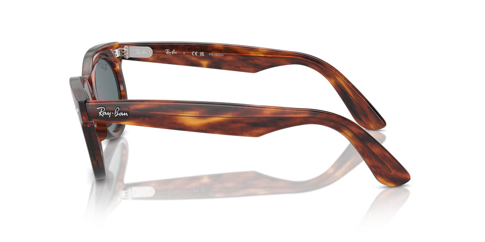 Ray-Ban RB2242 WAYFARER OVAL 954/3R 53