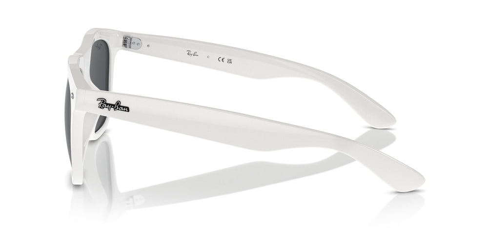 Ray-Ban RB4260D 671/87 57