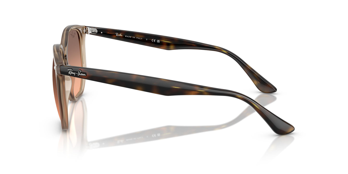 Ray-Ban RB4306 678846 54
