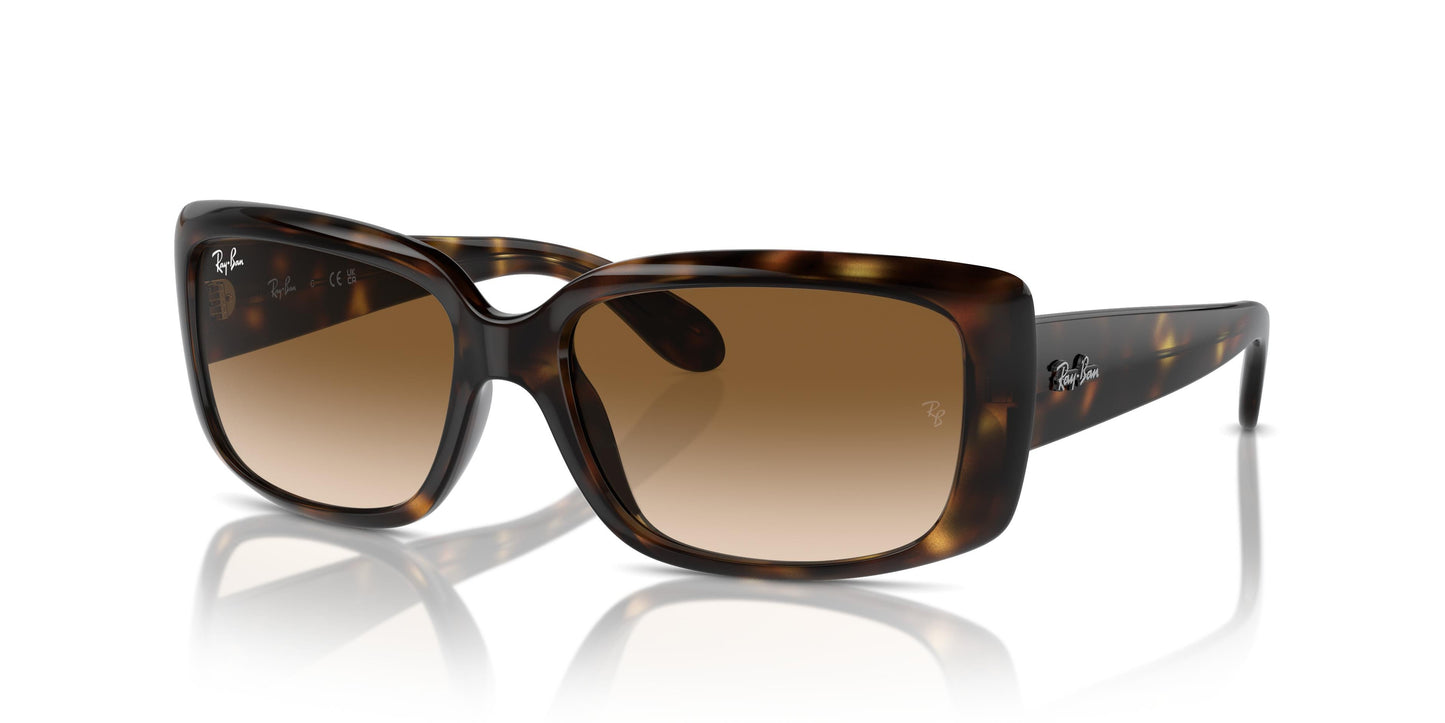 Ray-Ban RB4389 710/51 55